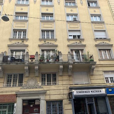 Cool Cat Budapest Apartment Dış mekan fotoğraf